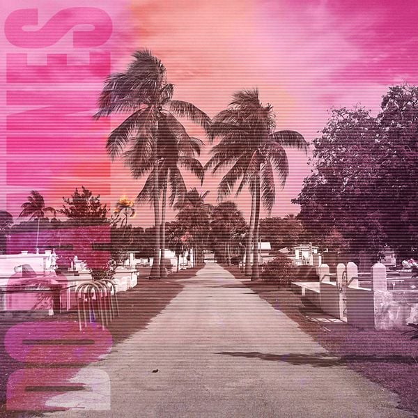 DOPAMINES • 80/20 • LP