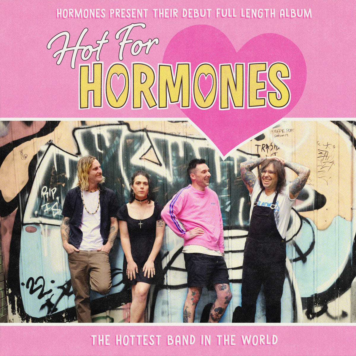 THE HORMONES • Hot For Hormones • LP