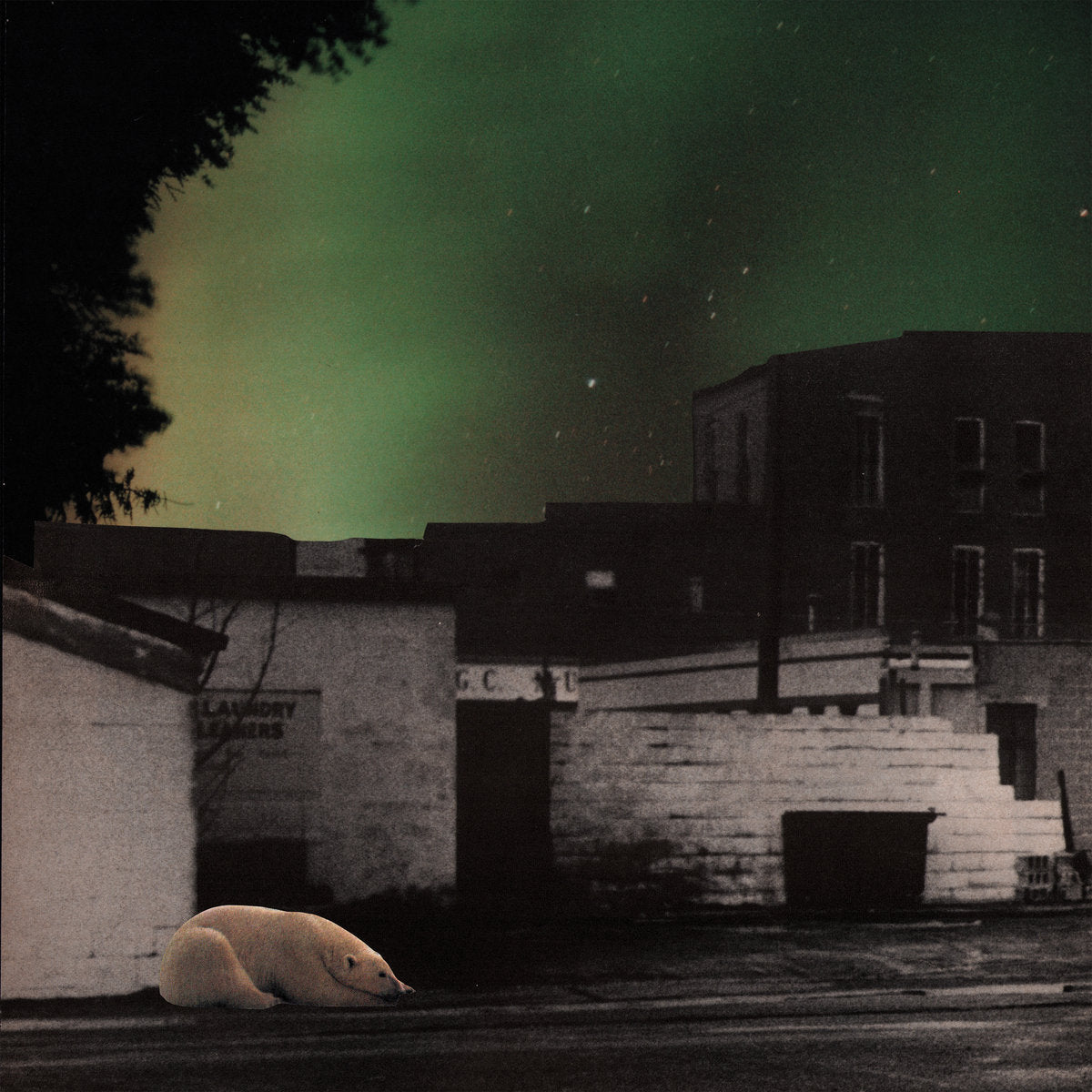 THE THERMALS •  Under Crushing Rain • LP • Pre-Order
