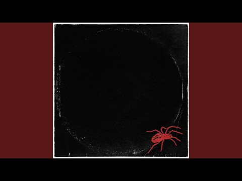SECOND YOUTH • Can't Call It Home When No One's Waiting • LP